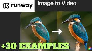 Runway ML--Key Features