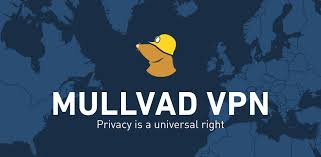 Mullvad — Best for Maximum Anonymity