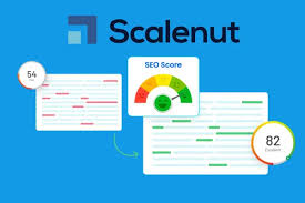 Scalenut Review 2026 Performance & Speed