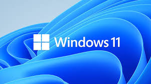 Why do people download a free VPN on Windows 11?