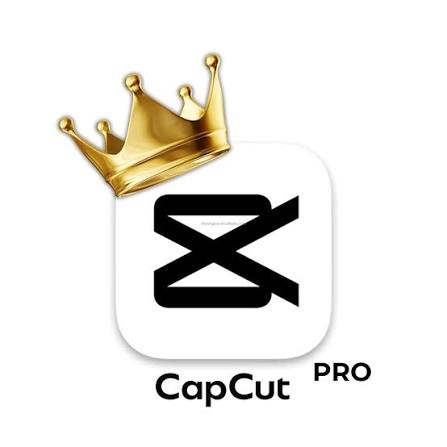What Is CapCut Pro?