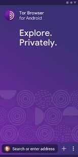 Tor Browser for Android — Best for Anonymity
