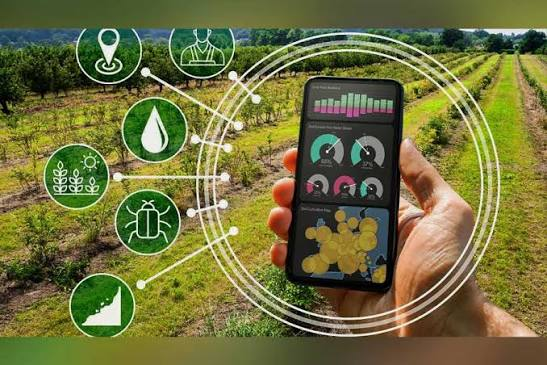 AI Crop Disease Detection