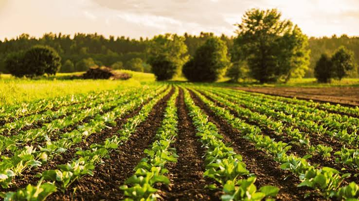 Best AI Tools for Agriculture in 2026